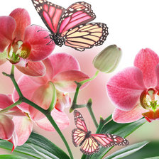 Схема вышивки «орхидеи»