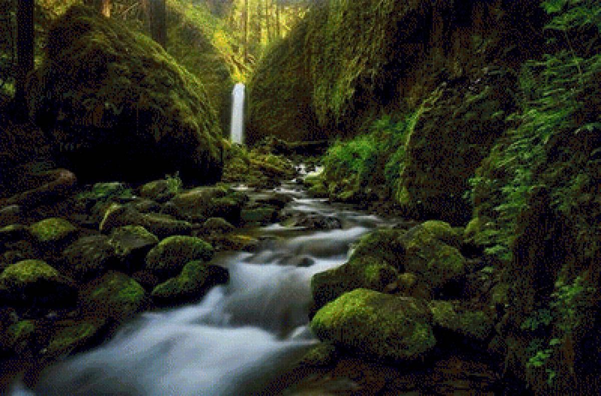 №1455620 - предпросмотр