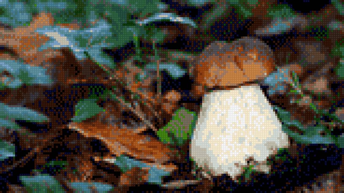 боровик - грибы - предпросмотр