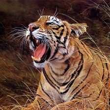 Схема вышивки «№1455934»