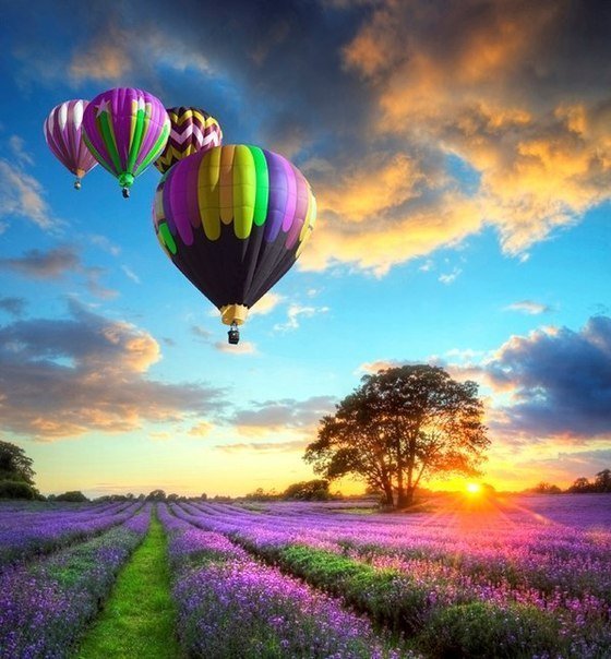 Прованс - лаванда, прованс, шар, франция, воздушный шар, закат, полет - оригинал