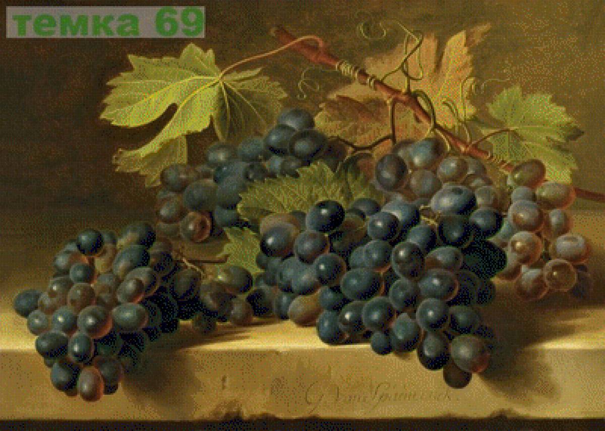 виноградная лоза - картины художников, виноград - предпросмотр