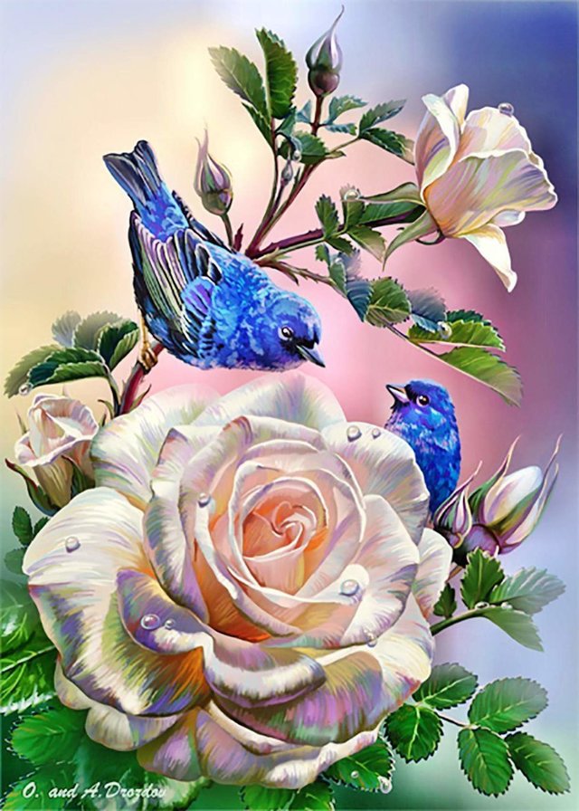 Розы - оригинал