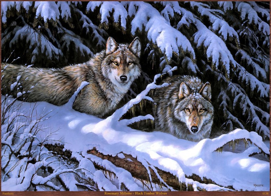 волки - снег, волки, зима - оригинал