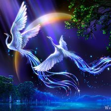 Схема вышивки «Сказочные птицы»