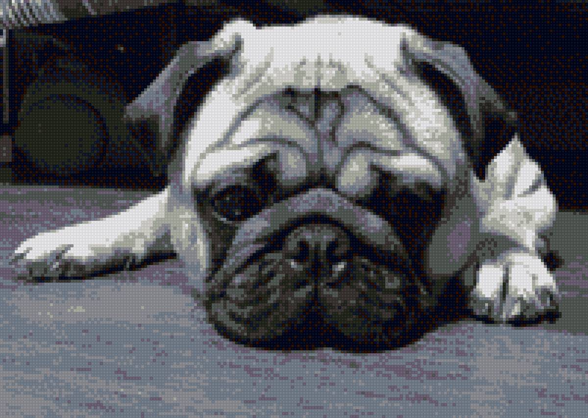 Мой сэмик - предпросмотр