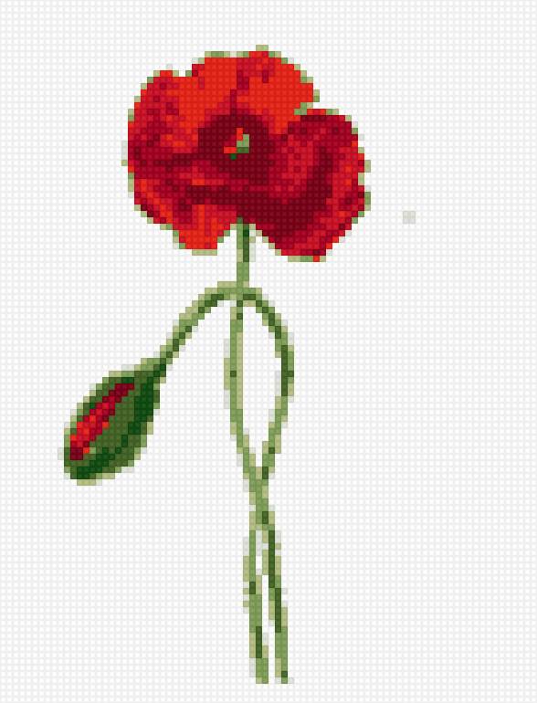 маки - предпросмотр