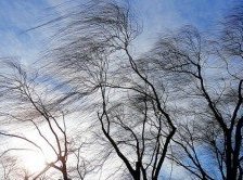 Схема вышивки «№1460246»