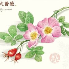 Схема вышивки «№1460473»