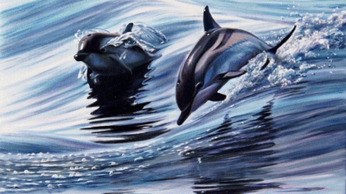 Дельфины - дельфины - предпросмотр