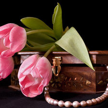 Схема вышивки «№1461137»