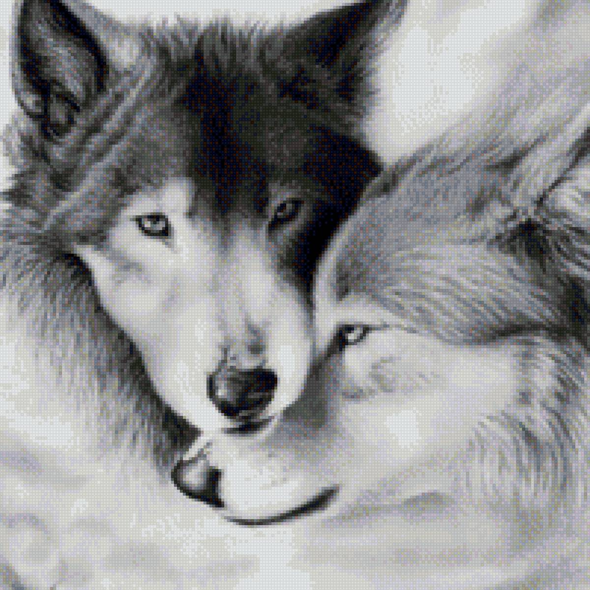 волки пара - предпросмотр