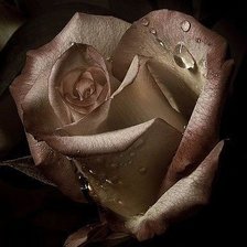 Схема вышивки «№1461459»