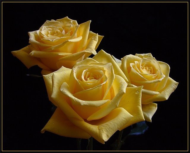 №1461462 - оригинал