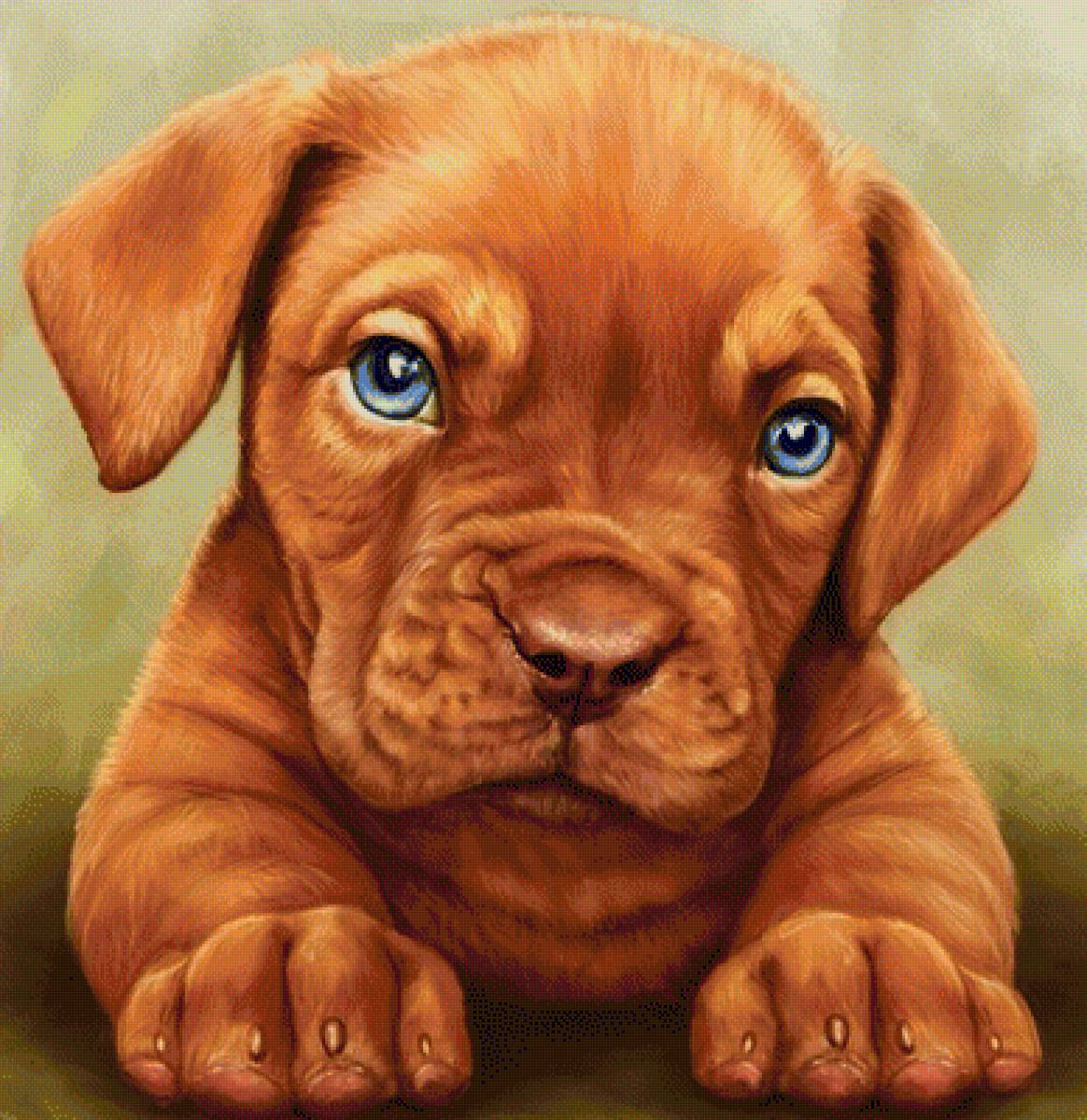 щенок - предпросмотр