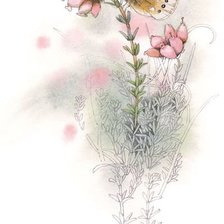 Схема вышивки «мотылек1»