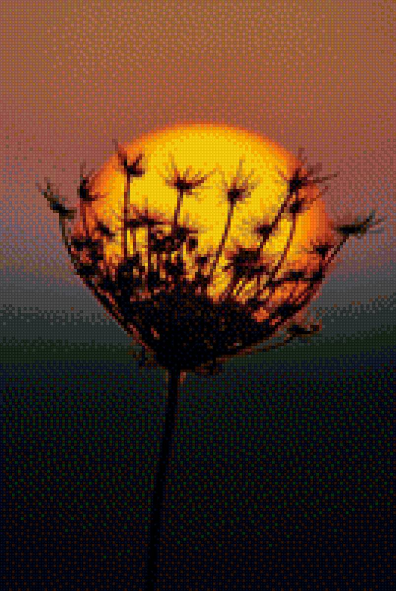 закат в одуванчике - предпросмотр