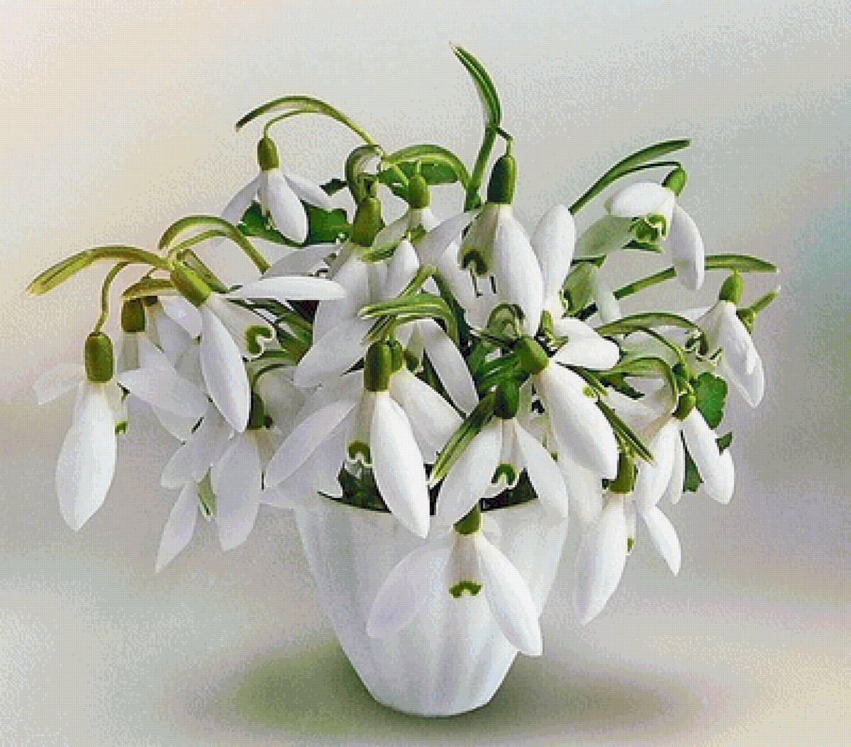 №1462413 - предпросмотр