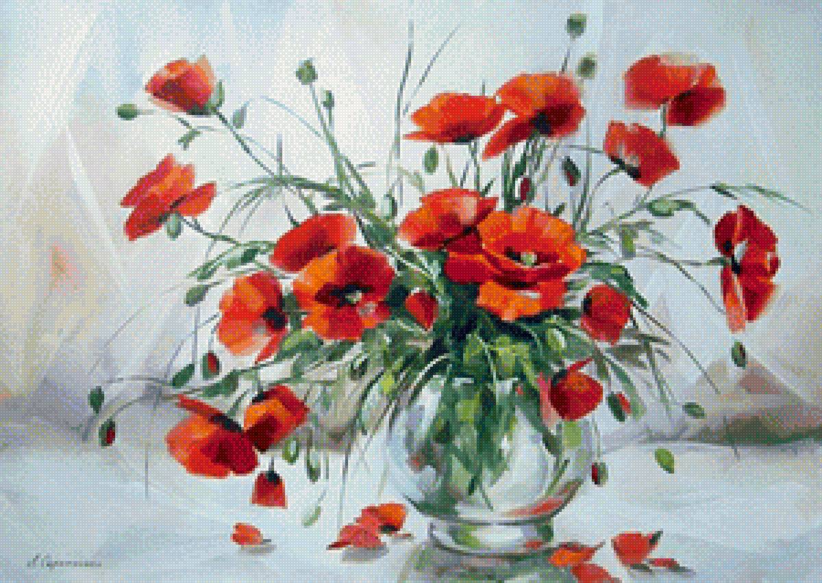 маки - природа - предпросмотр