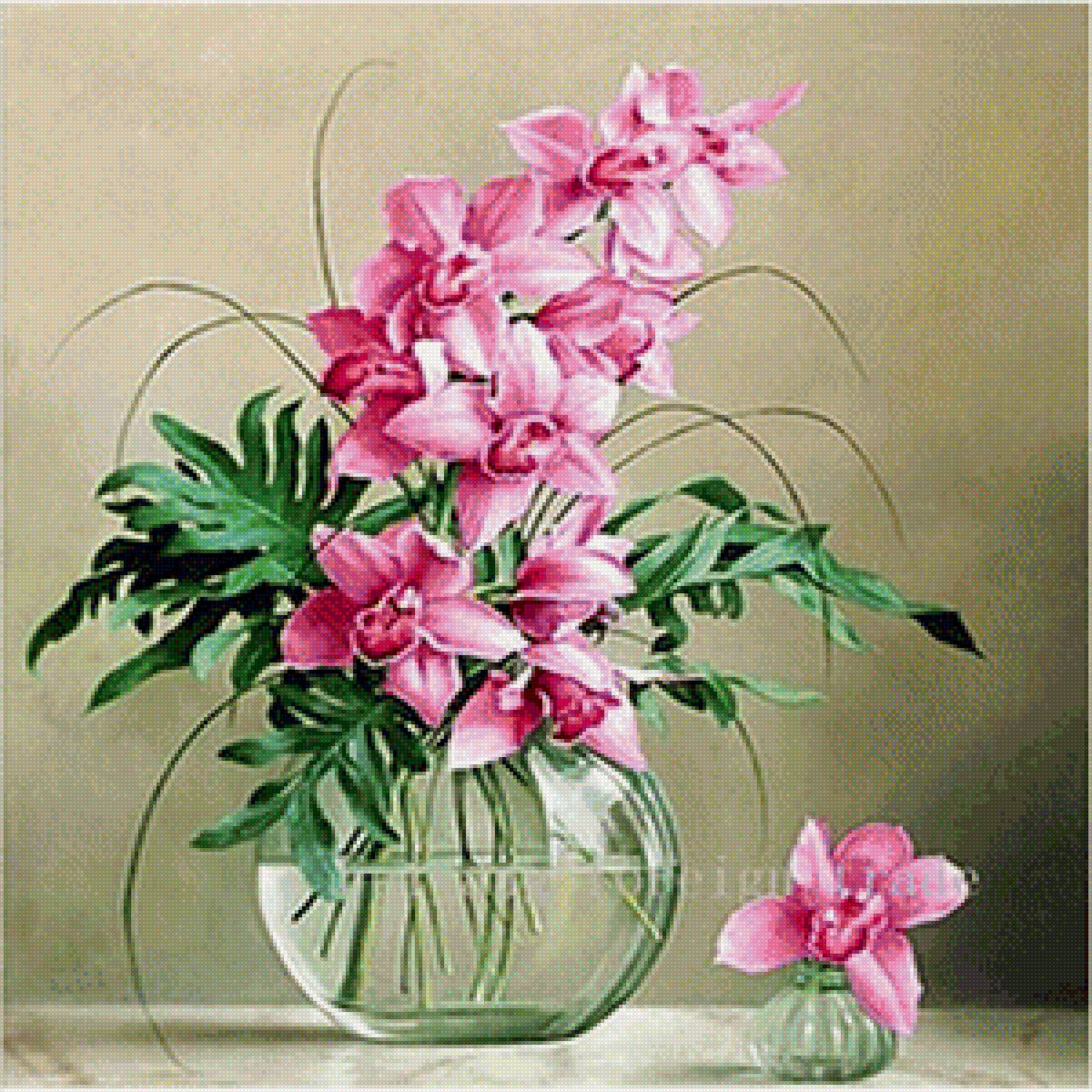 орхидея - цветы - предпросмотр