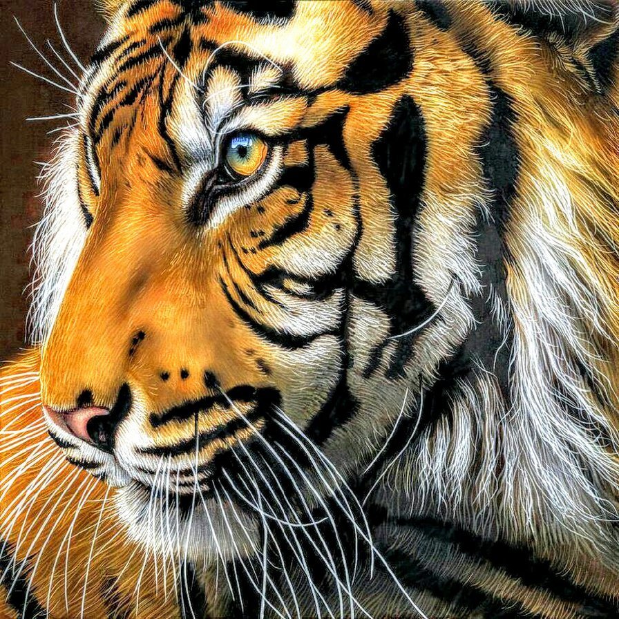 тигр - тигр - оригинал