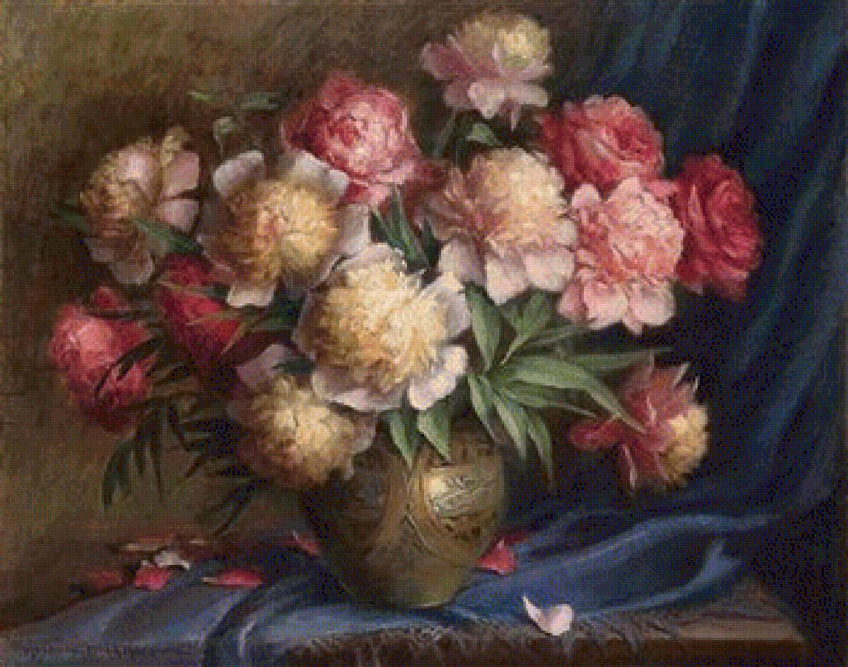 piwonie - предпросмотр