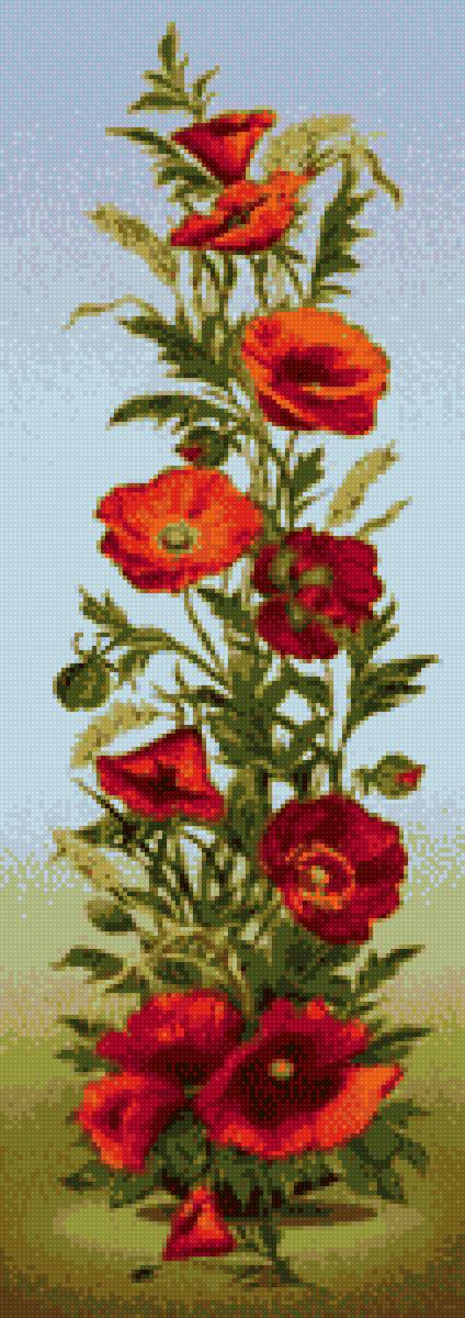 Маки и пшеница - предпросмотр