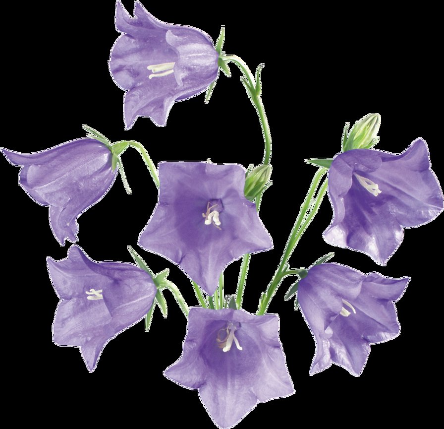 Колокольчики для НН - оригинал