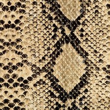 Схема вышивки «текстура змеиной кожи»
