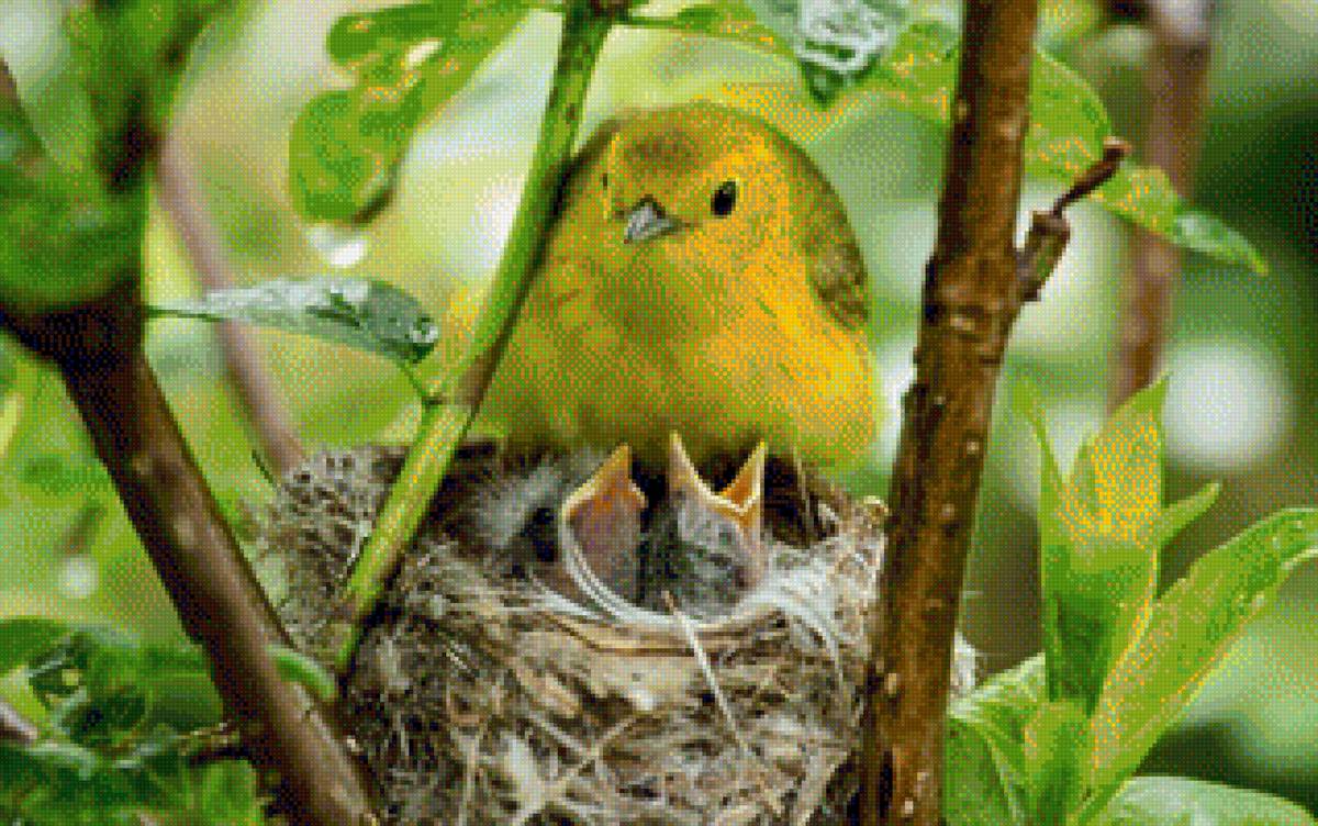 желторотики - мама - предпросмотр