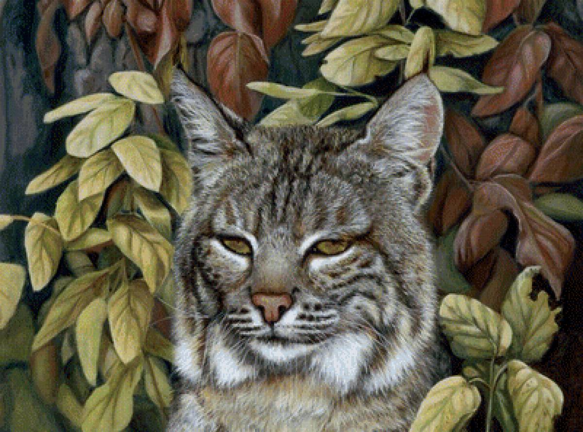 кошечка - животные - предпросмотр