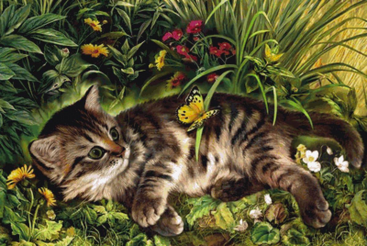 Пушистое очарование - предпросмотр