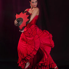 Схема вышивки «Carmen»