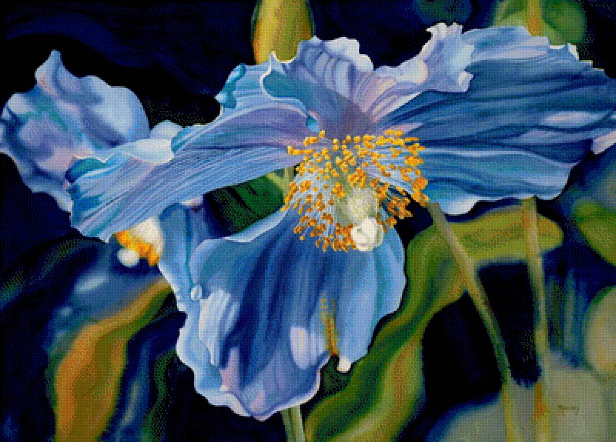 Sib - предпросмотр