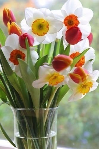 Весенний привет ! - весна, букет, нарцисс, цветы - оригинал
