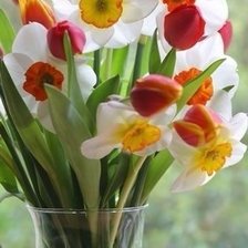 Схема вышивки «Весенний привет !»