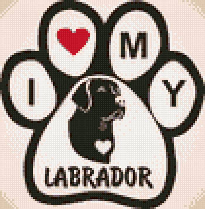 I love my labrador - лабрадор, любовь, собаки - предпросмотр
