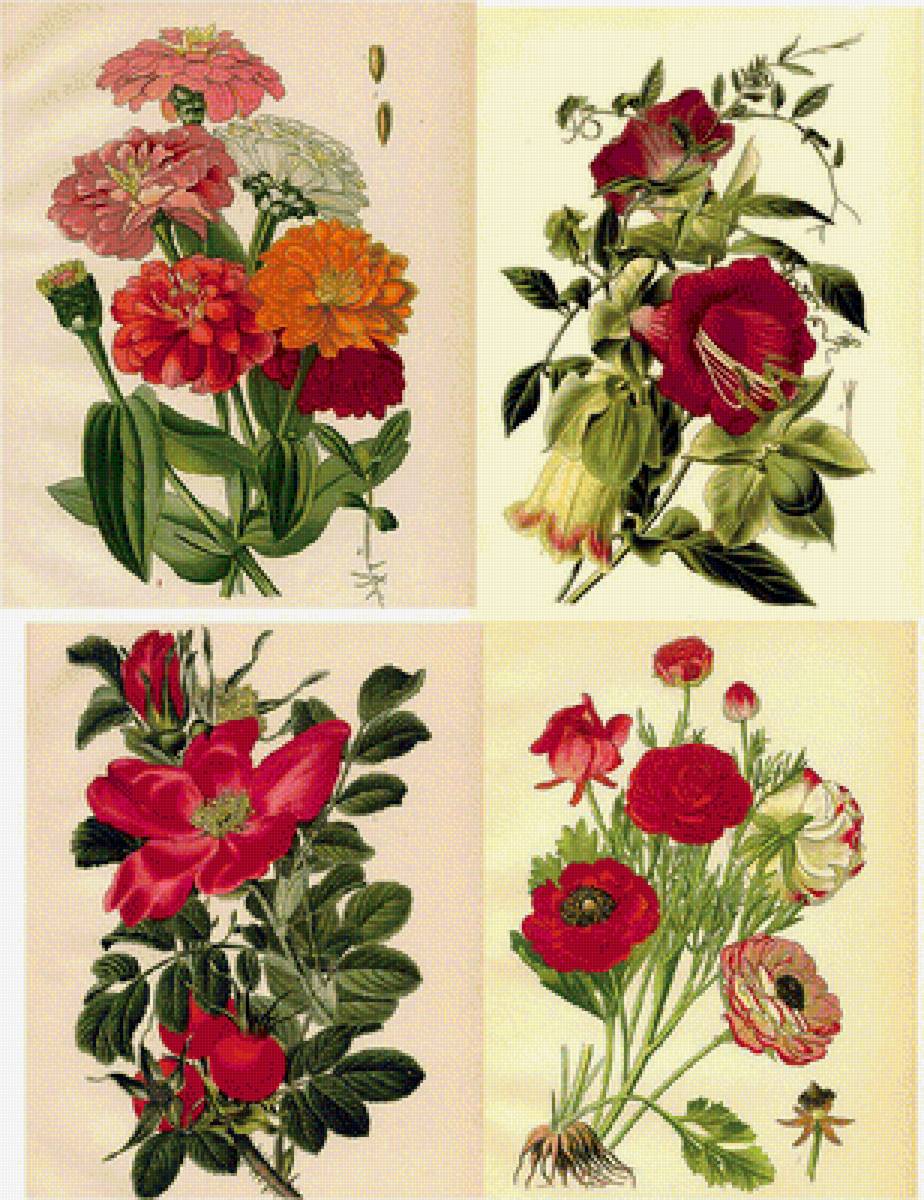 цветы - цветы, композиция - предпросмотр