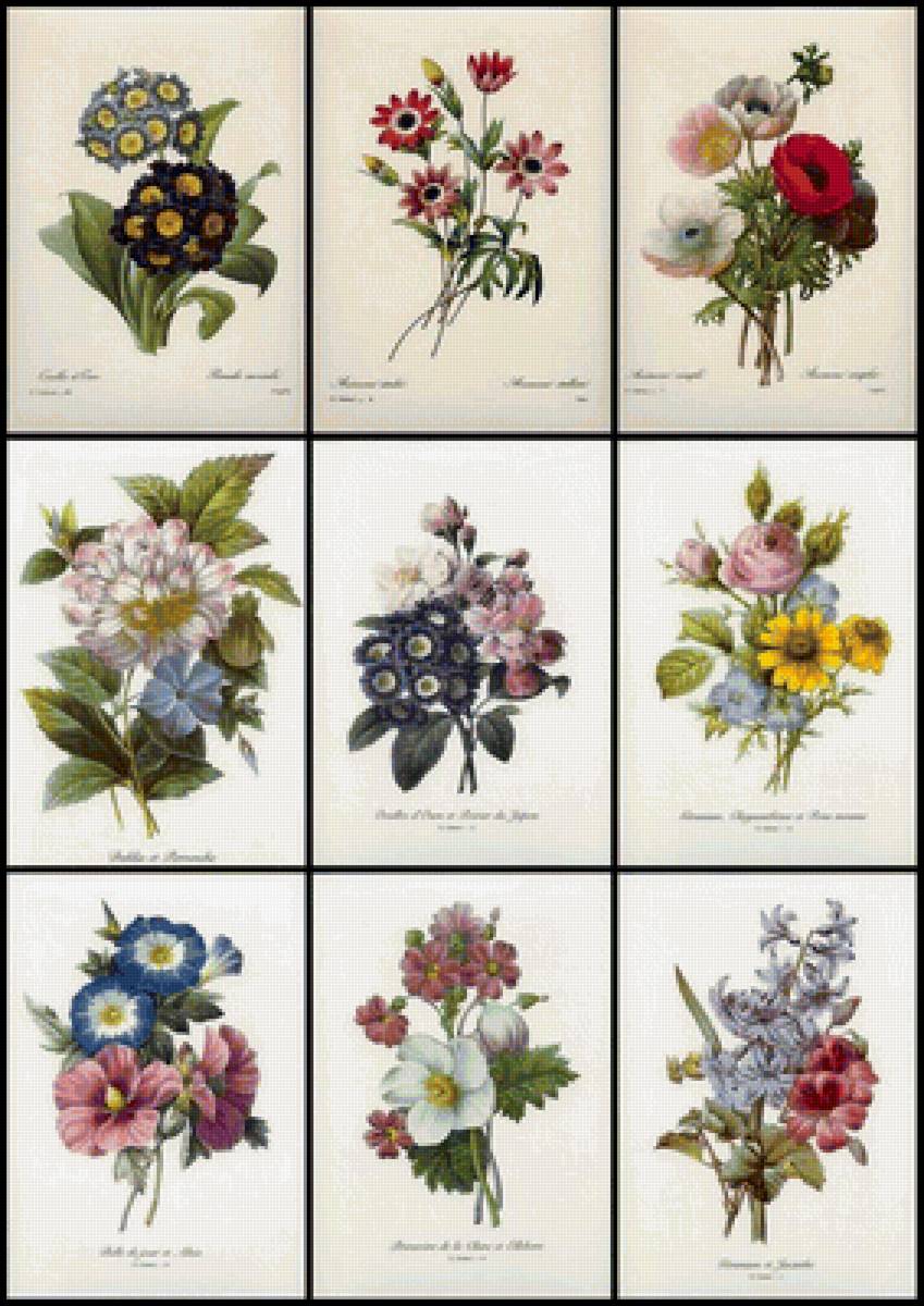 цветы - композиция, цветы - предпросмотр