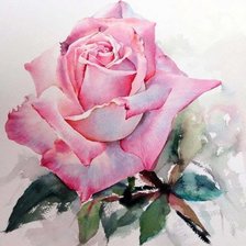 Схема вышивки «роза»