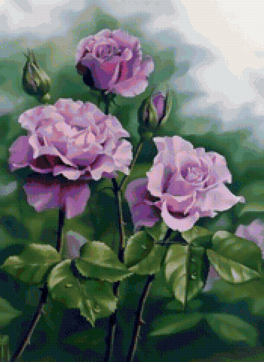 Сиреневые розы - цветы, розы - предпросмотр