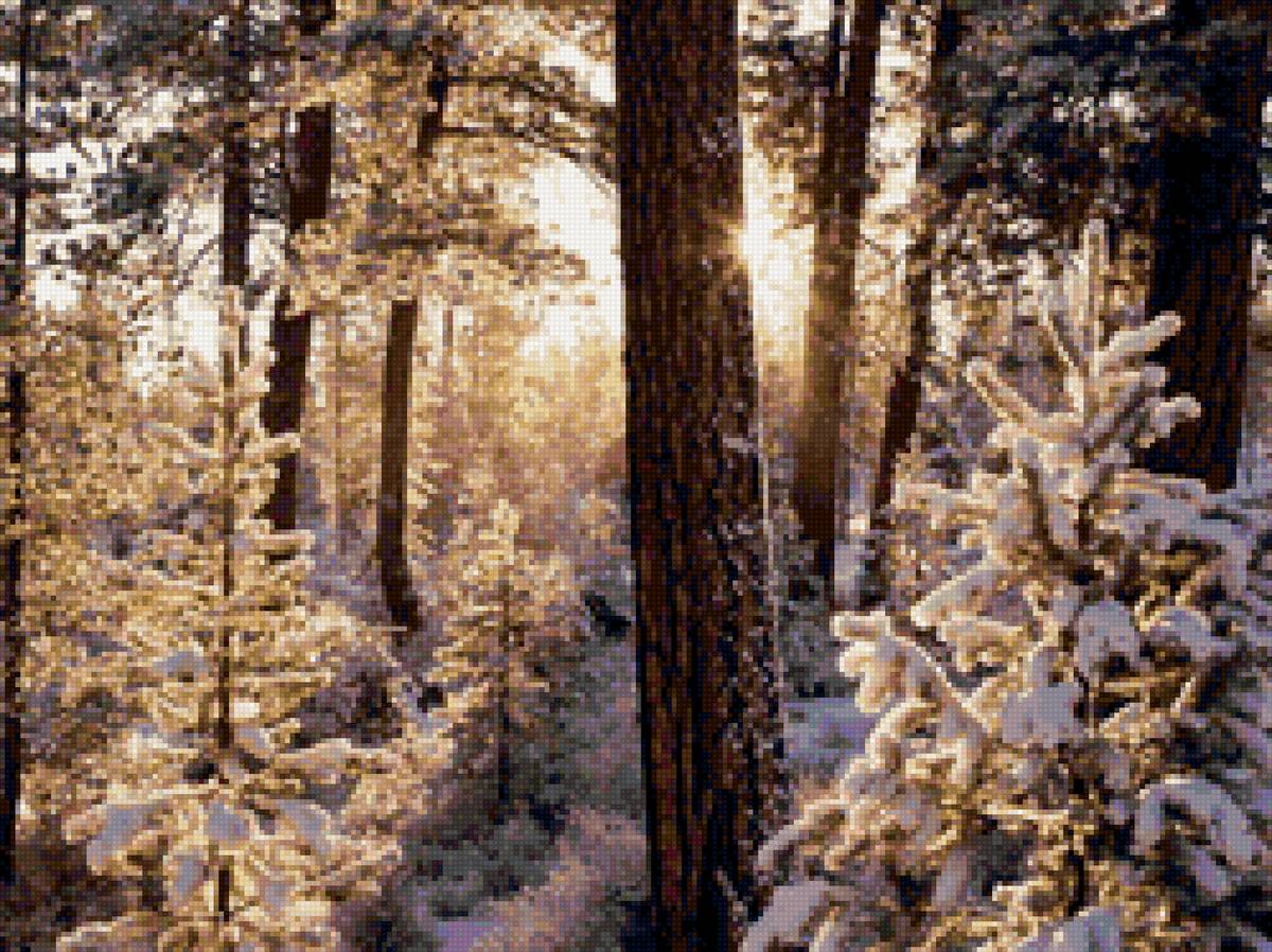 Зимний лес - времена года, лес, снег, зима, природа, солнце - предпросмотр