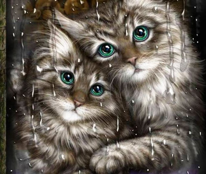 Мир животных - арт, кот, кошка, пара, животное, семья - оригинал