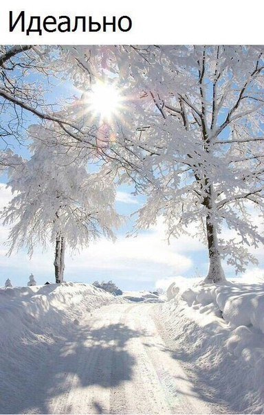 Зима - снег, природа, красота, зима, солнце - оригинал