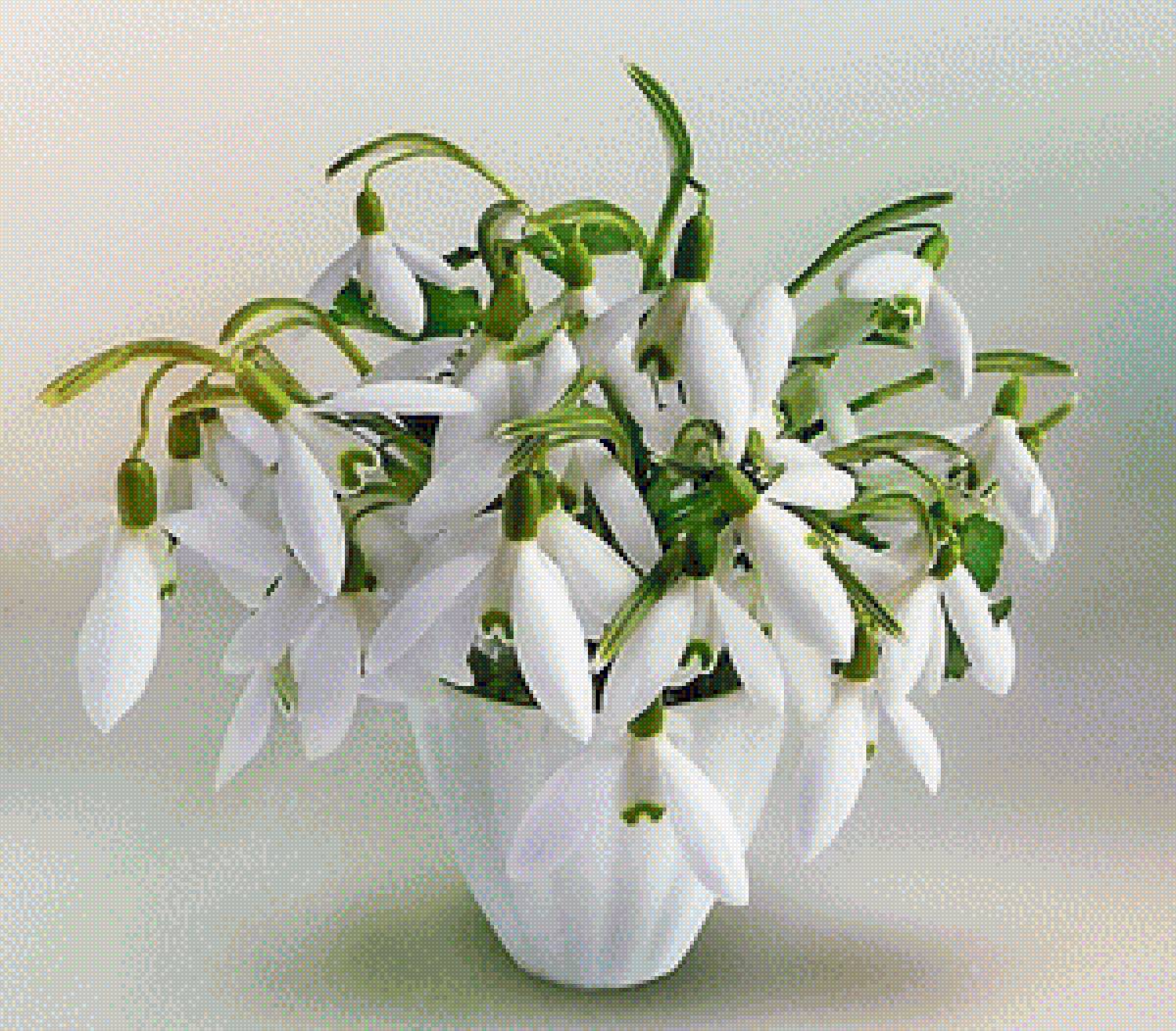 ПОДСНЕЖНИКИ - подснежники - предпросмотр