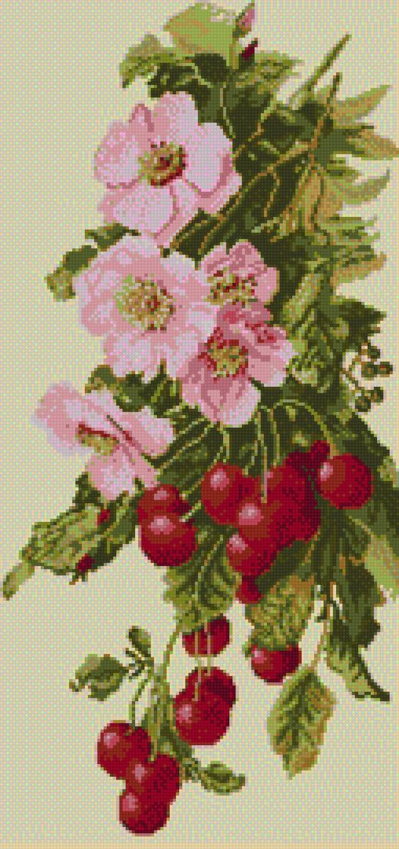 цветы и вишня - цветы - предпросмотр