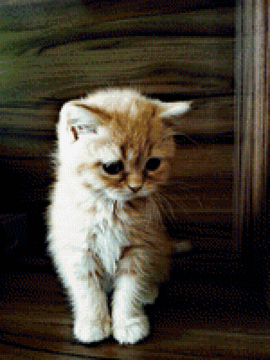 тедди - предпросмотр