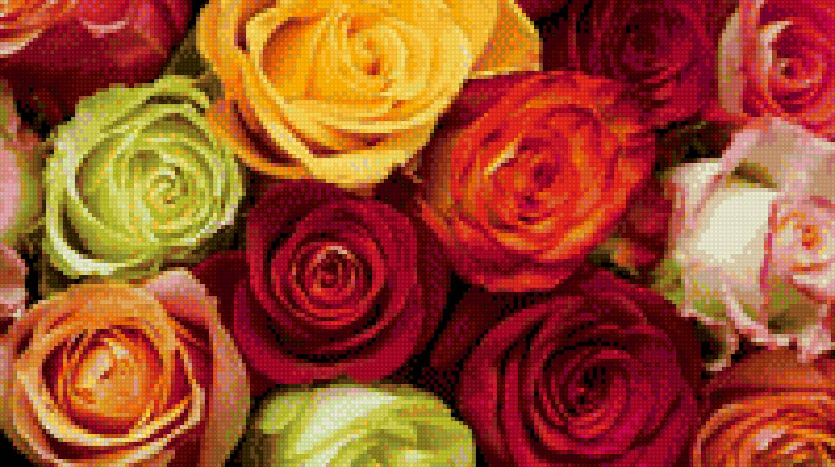 розы - предпросмотр