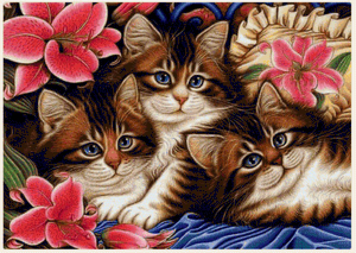 кошки - предпросмотр