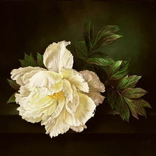 Схема вышивки «пион белый»